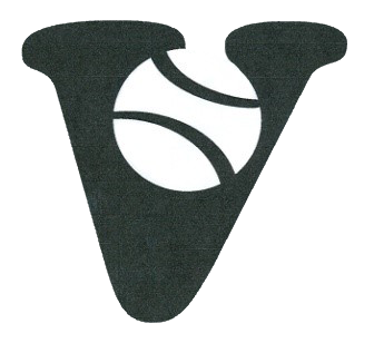 vmsa logo